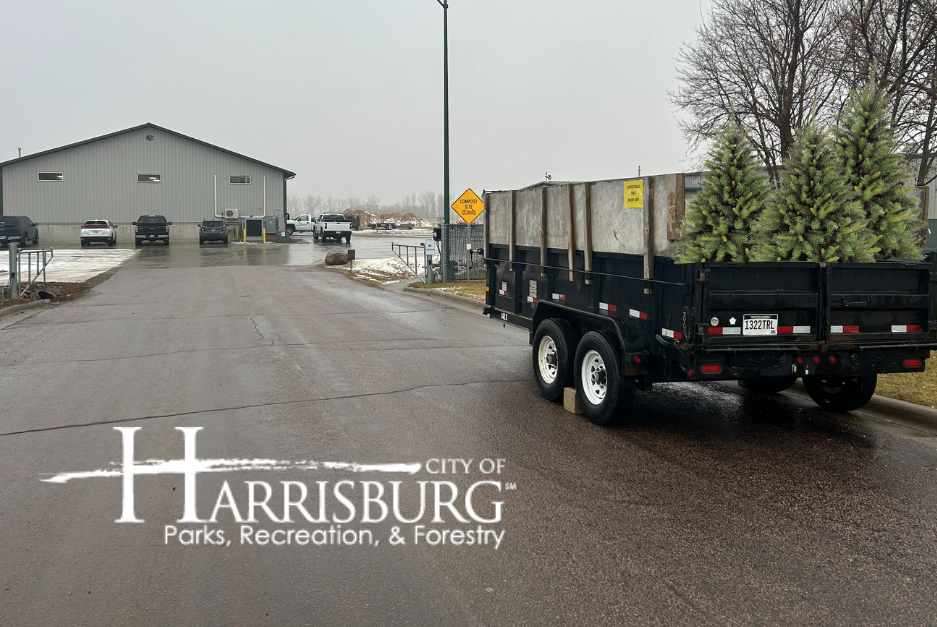 Screenshot 2025-12-29 145446.png